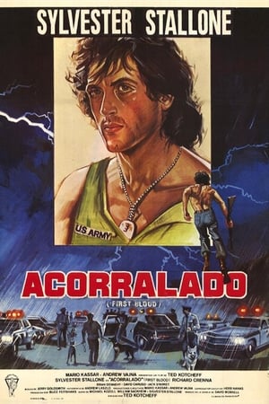 Acorralado (1982)