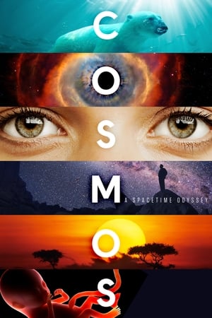 Cosmos: Una odisea en el espacio-tiempo (2014)