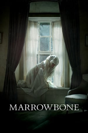 El secreto de Marrowbone (2017)