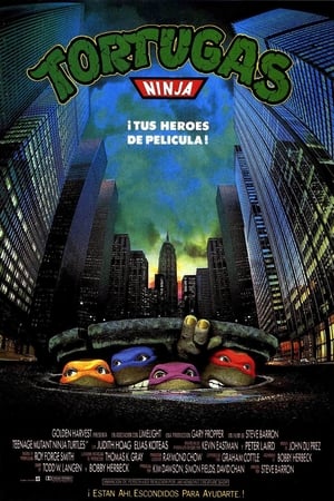 Las tortugas ninja