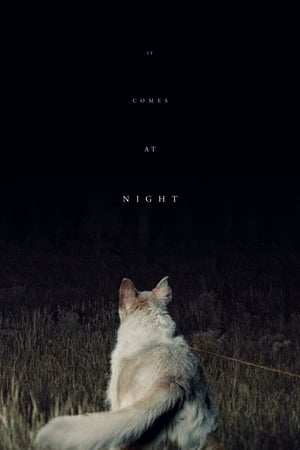 Llega de noche (2017)