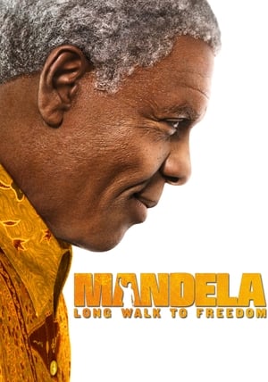 Mandela, del mito al hombre (2013)