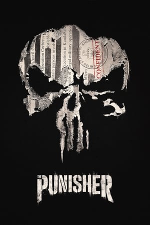 Marvel's The Punisher (2017)