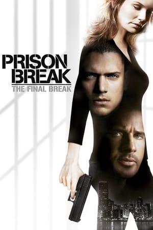 Prison Break: Evasión final (2009)