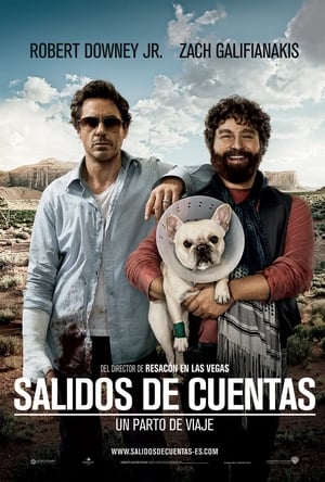 Todo un Parto (2010)