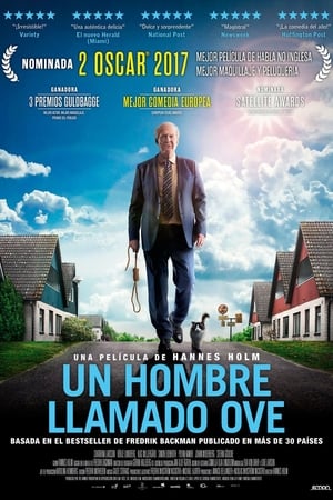 Un hombre llamado Ove (2015)